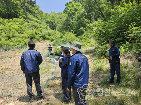 불벌행위단속(산림청)